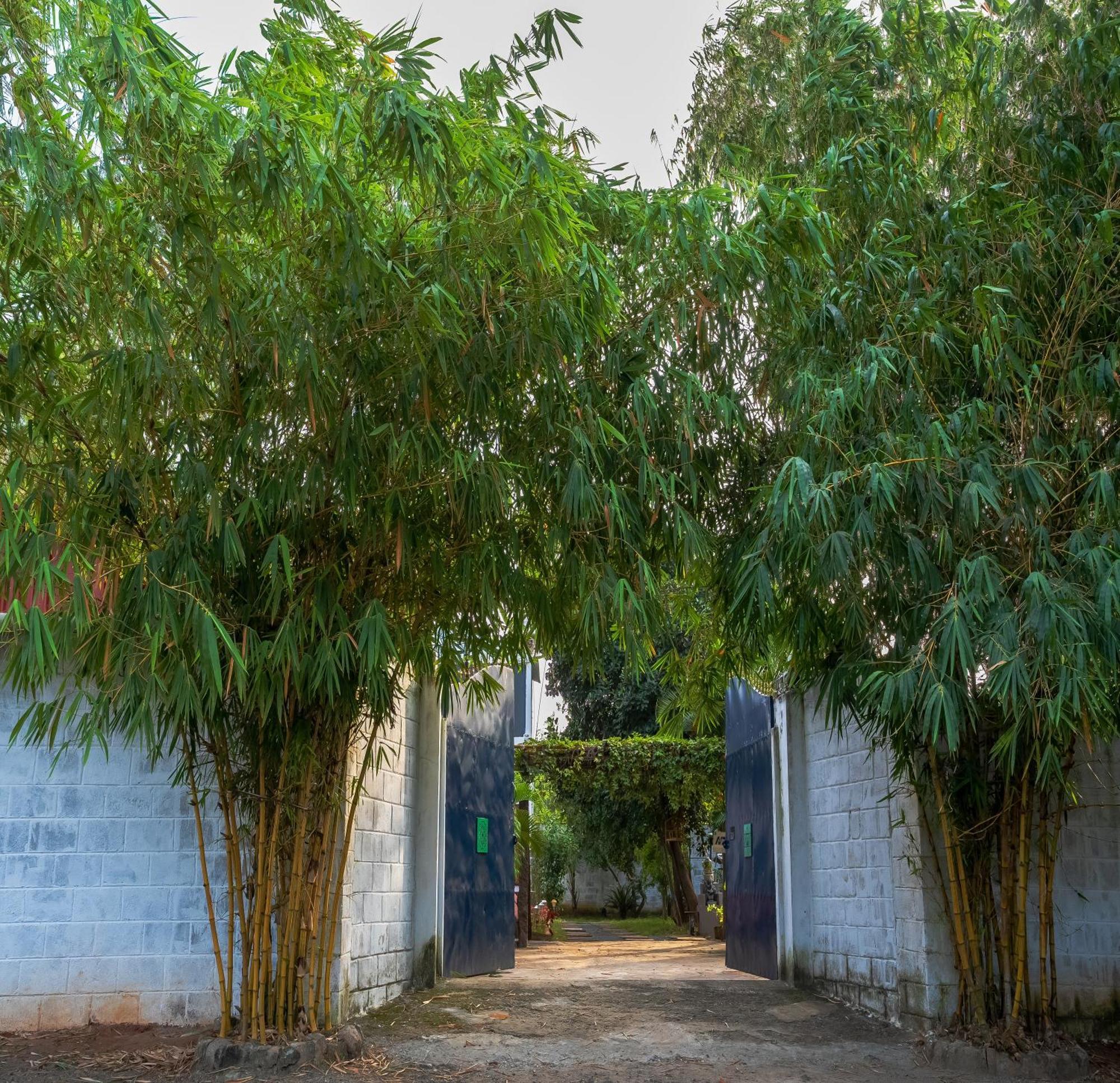 מלון אורוויל Ntr Garden מראה חיצוני תמונה
